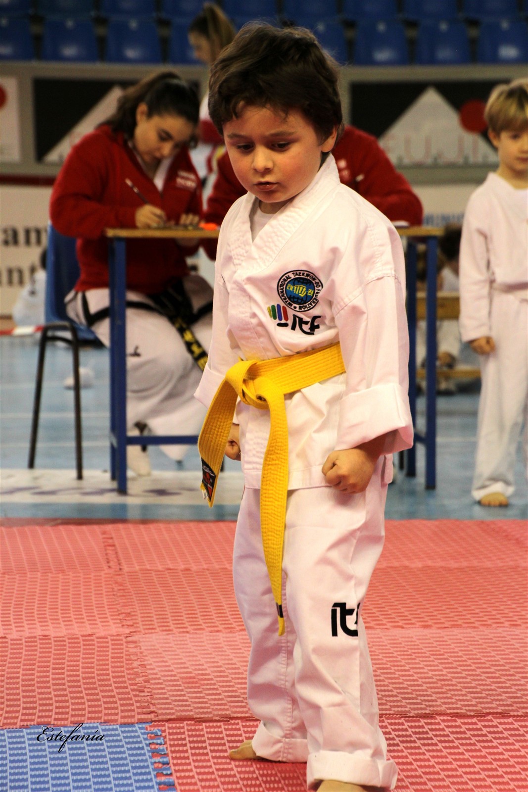 Taekwondo (114).jpg